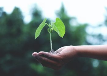 How Someone Working In Tech Can Help Fight Climate Change