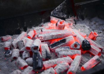 Are Wood Briquettes the Answer to High Heat Prices?