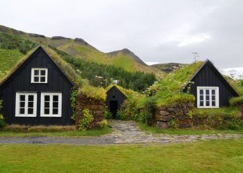 The Benefits of Green Roof Systems
