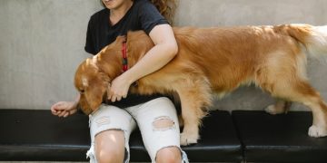 The Benefits of Food Dispensing Toys and Puzzle Games for Dogs