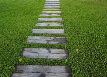 Is It Worth Employing A Professional Gardener?