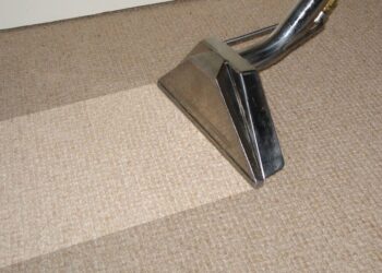 Why Use Regular Carpet Cleaning Services