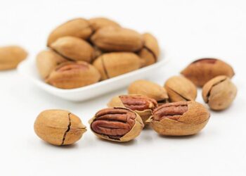 The Race For The Alternative Protein Market