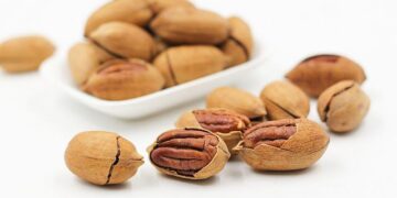 The Race For The Alternative Protein Market