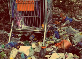 Five Benefits Of Using Waste Clearance Companies