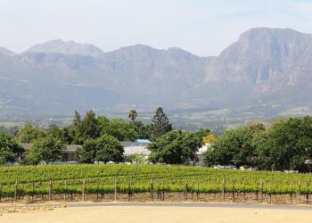 What exactly is wine tourism?