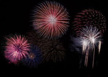 Strategies to Add Variety to Your Wholesale Fireworks Order