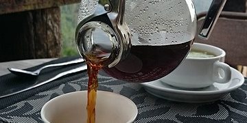 Cat Poop Coffee (Kopi Luwak) – What Is It & Why’s It Popular?
