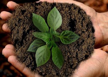 How trading CO2 could save the climate