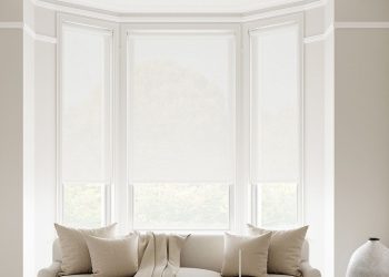 Reasons To Use A Window Blind Shop