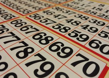 What are the different types of bingo games you can play?
