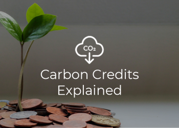 Here’s How Carbon Offsets Can Live up to Their Bold Promises