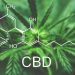 CBD: What is it, and can it help the heart?