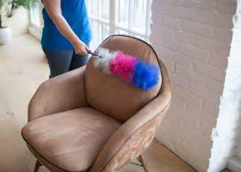 Are Upholstery Steam Cleaning Services Necessary?