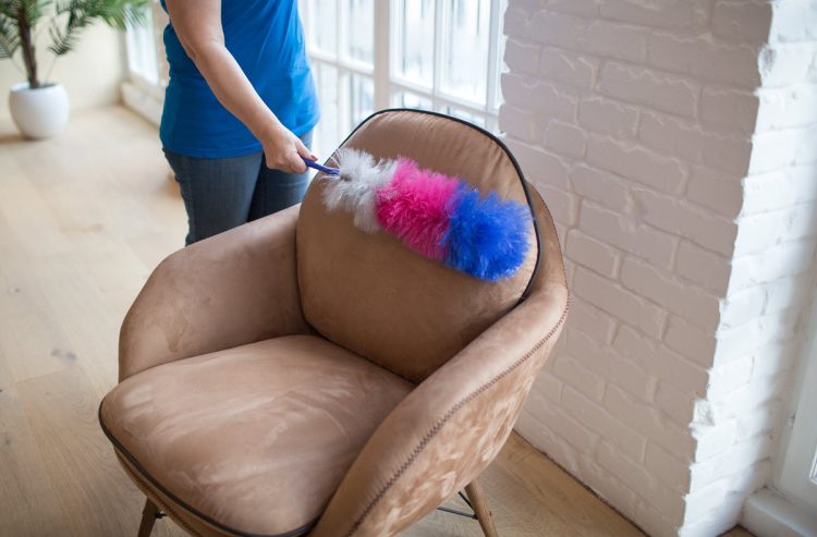 Are Upholstery Steam Cleaning Services Necessary?