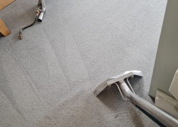 The Benefits of Removing Allergens and Bacteria from Your Carpets