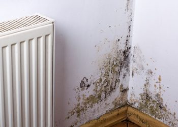 What Are Housing Disrepair Claims Solicitors?