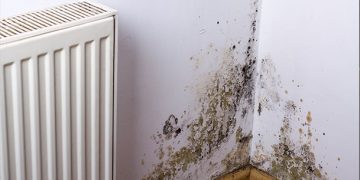 What Are Housing Disrepair Claims Solicitors?