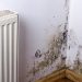 What Are Housing Disrepair Claims Solicitors?