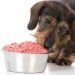Why Raw Dog Food is the Best Choice for Active Dogs and Puppies