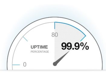 What Is Uptime Monitoring and Why Is It Important?