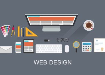 Why Your Plymouth Business Needs a Professional Web Designer
