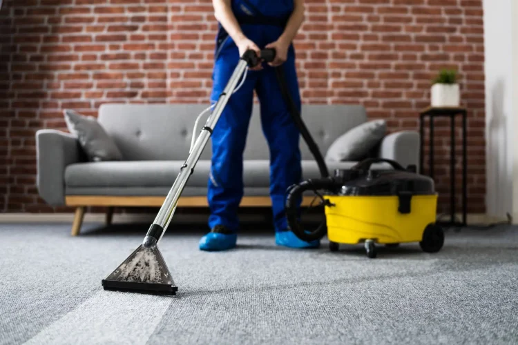 7 Reasons To Use Professionals For Carpet Cleaning
