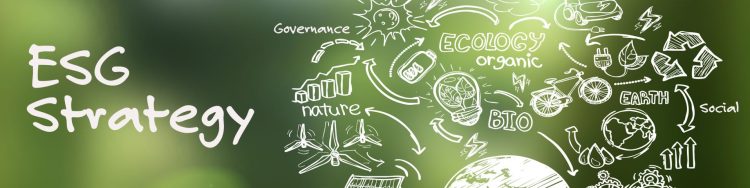 The Future of ESG Strategy