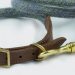 Dog Collar Safety: How to Ensure Your Pet’s Collar Fits Properly and Doesn’t Pose a Risk