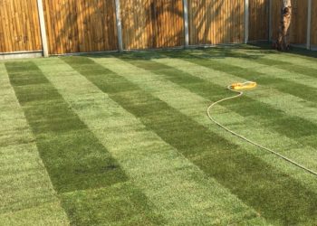 How to Choose the Best Turf Laying Near Me