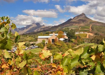 Stellenbosch Uncorked: Why Wine Enthusiasts Are Flocking to this South African Town