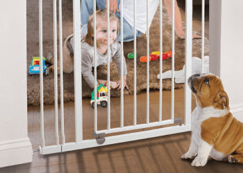 Safeguarding Tiny Explorers: The Art of Choosing the Best Baby Gates