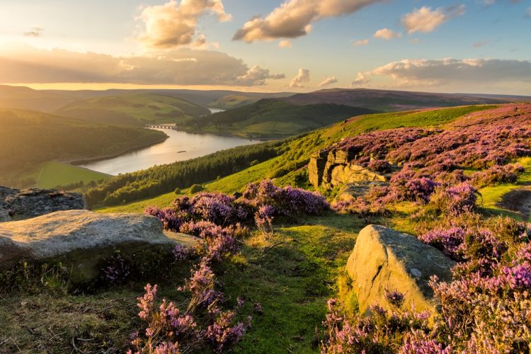 Top Benefits of Visiting a National Park in the UK