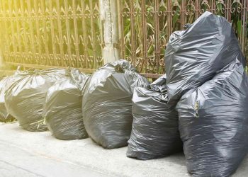 Why Trusting the Experts is Essential for Safe and Efficient Waste Disposal