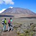 Why You Should Trek Kilimanjaro