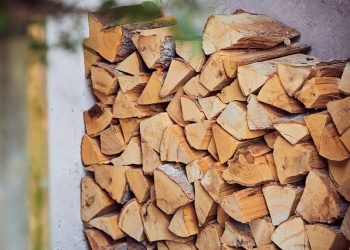 The Advantages of Kiln Dried Wood: Why It’s the Best Choice for Your Construction Projects