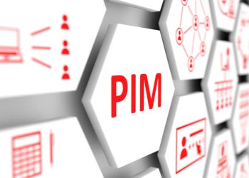 Staying Competitive in the Digital Age: The Role of PIM Systems in Business Success