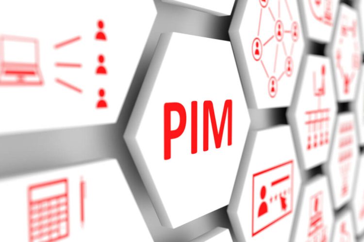 Staying Competitive in the Digital Age: The Role of PIM Systems in Business Success