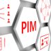 Staying Competitive in the Digital Age: The Role of PIM Systems in Business Success