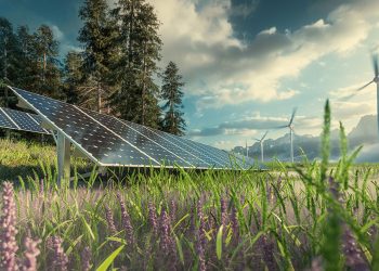 Renewable Energy Conferences: Fostering Innovation and Growth