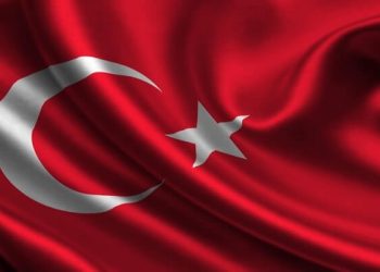 Turkish Citizenship by Investment: Why You Need a Specialized Lawyer to Guide You