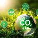 Businesses Counterbalancing to Carbon Neutrality: The Rising Offset Trend