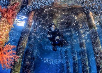 Exploring the Depths: The Wonders of Hurghada Diving