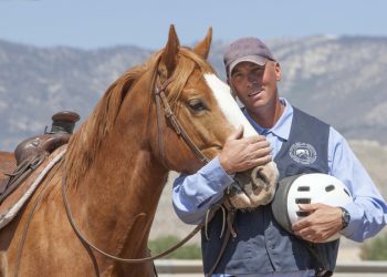The Importance of Consistent Grooming in Your Horse Care Routine