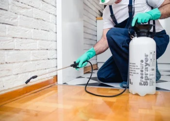 What You Can Anticipate When Working With a Trustworthy Pest Management Agency: An Insider’s Guide