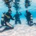 Unleash the Full Potential of Scuba Diving: Discover the Benefits of PADI Advanced Certification