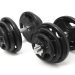 Unlocking the Potential of Dumbbell Workouts: Reasons to Purchase a Set