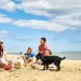 Affordable and Fun: Selecting the Best Cheap Family Holidays in the UK