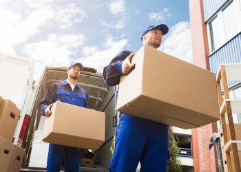 The Ultimate Guide to Choosing the Right Removals Company in Putney