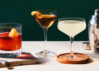 Premixed Cocktails: The Future of Convenient and Delicious Drinking